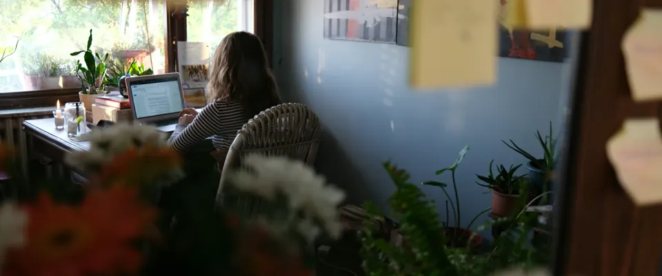 Person working on a laptop at a desk with plants and daylight